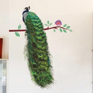 Decals Animals Peacock Vivid Branch Poster Wall Feathers