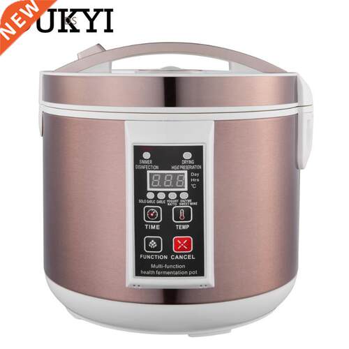 5L/6L multifunction Black garlic ferting machine Automati