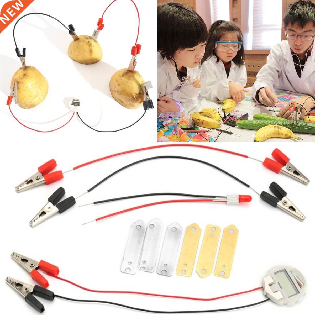 Biologia Energy Generate Electricity Science Experiment Educ