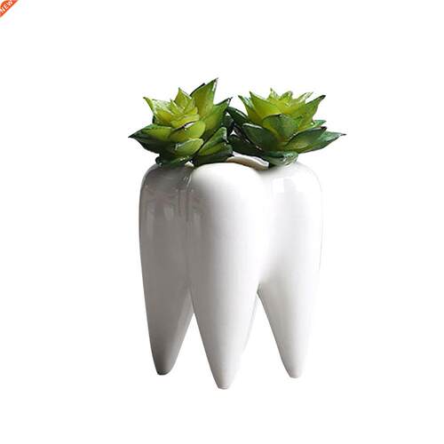 Teeth Shape Flowerpot Innovation White Ceramic Succulent Flo
