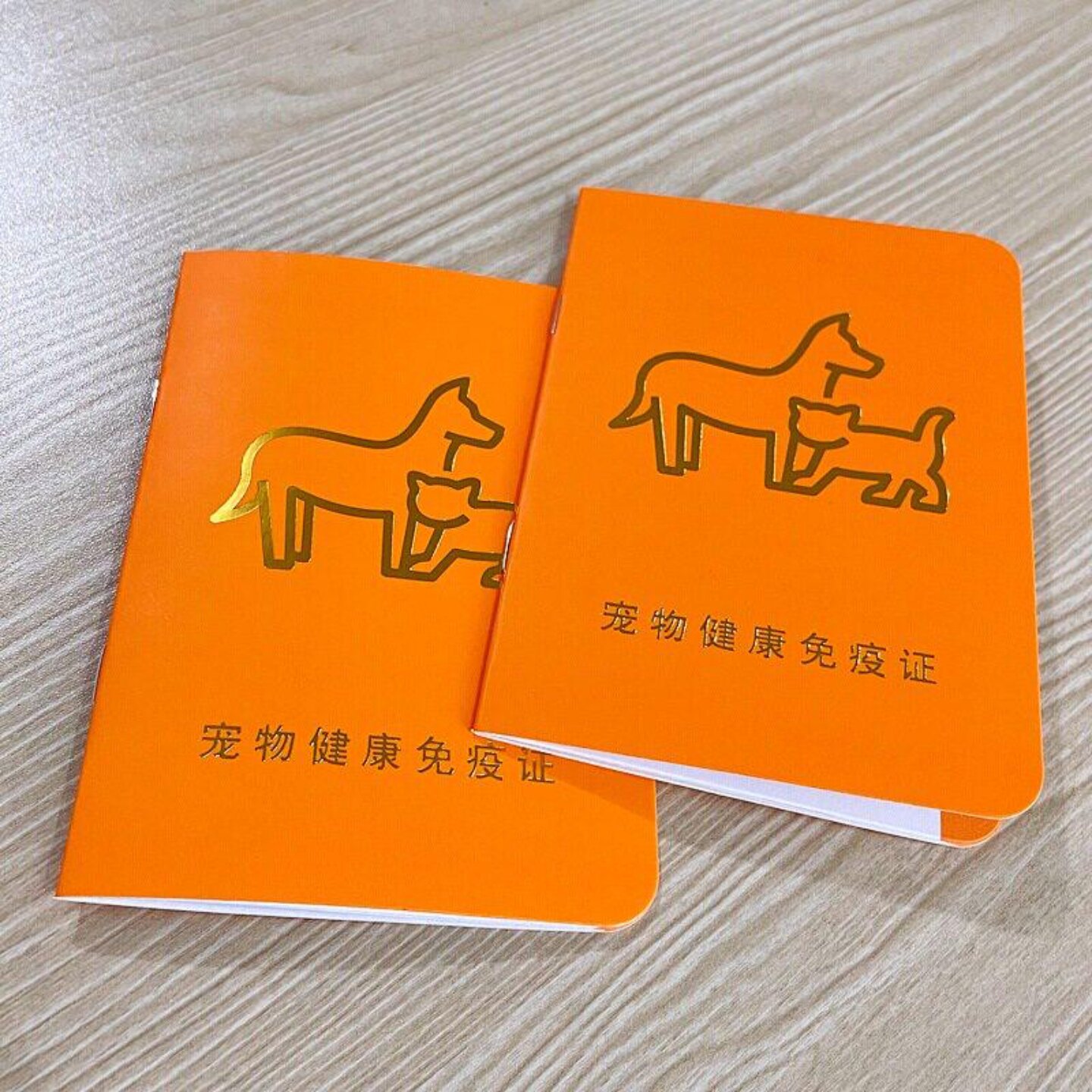 宠物疫苗本猫咪狗狗接种登记本