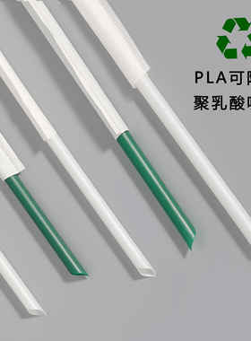 PLA可降解耐高温环保珍珠奶茶粗吸管牛皮纸独立包装一次性细吸管
