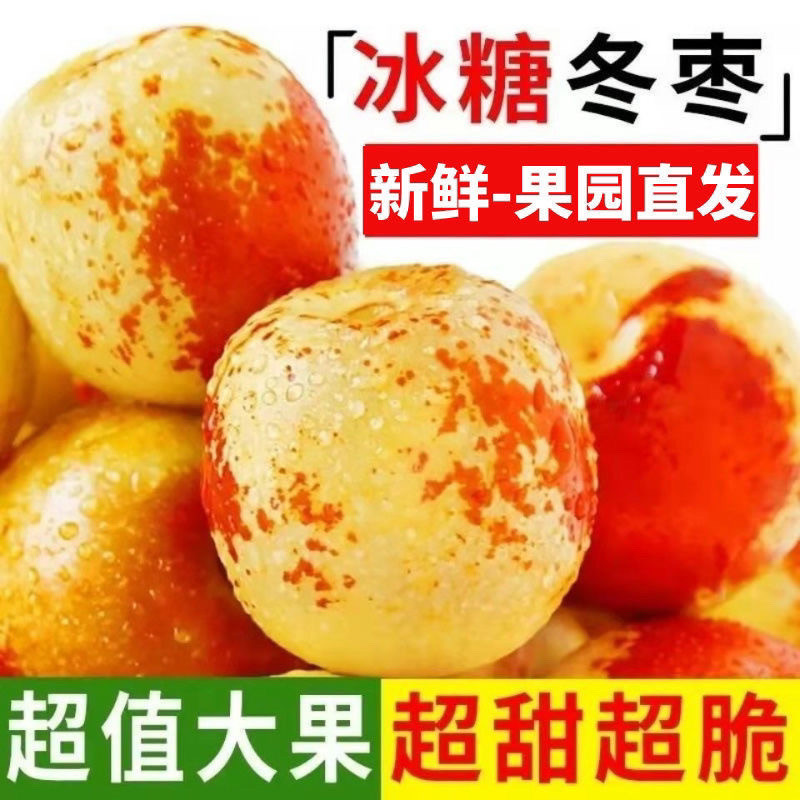 陕西冬枣新鲜水果冰糖脆甜特大5斤批发包邮孕妇水果当季枣子鲜枣