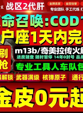 COD19代练使命召唤19代肝刷枪金皮战区2猎户座等级排位核弹