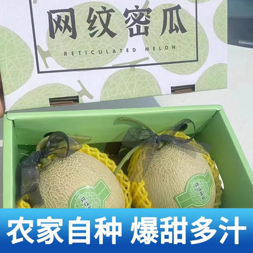 聪爵哈密瓜玫珑网纹蜜瓜现摘现发