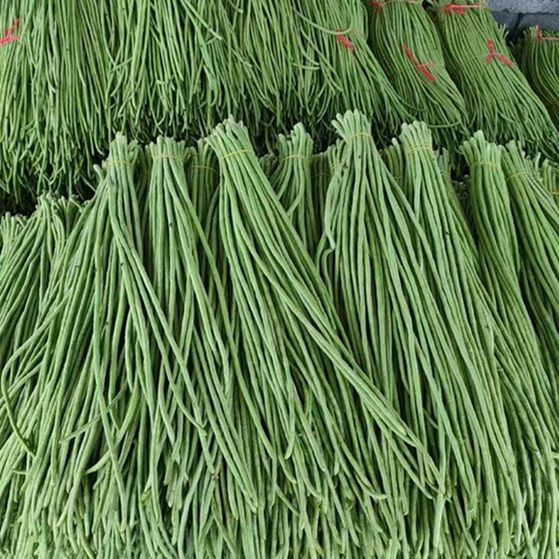 苏北老品种农家嫩长豆角子长豇豆姜豆现摘泡杠缸豆新鲜时令蔬菜