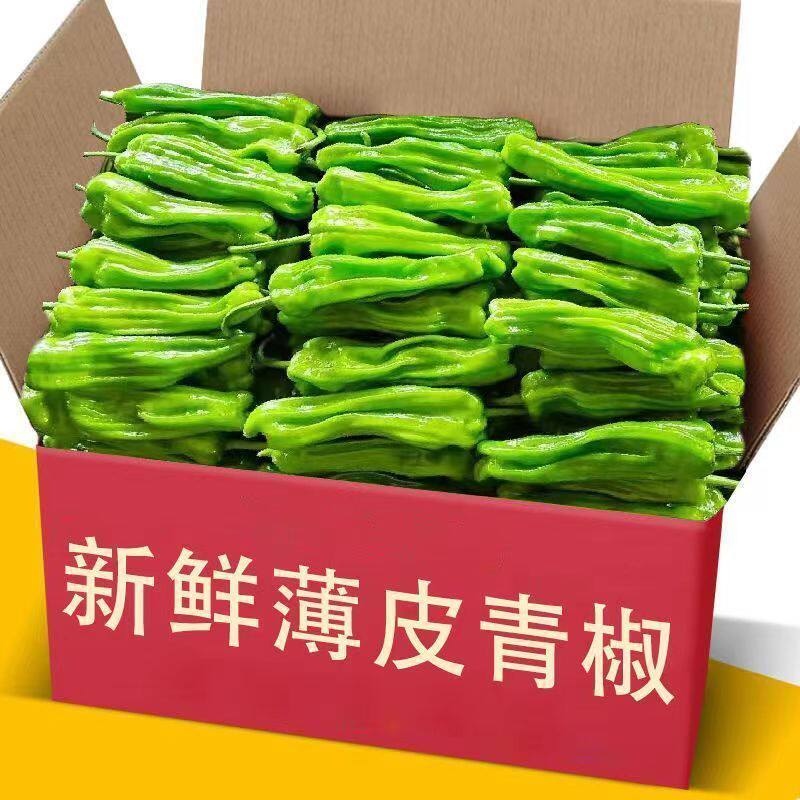 鲜现摘薄皮微辣青椒芜湖椒虎皮椒皱皮椒尖椒新鲜蔬菜整箱批发图片