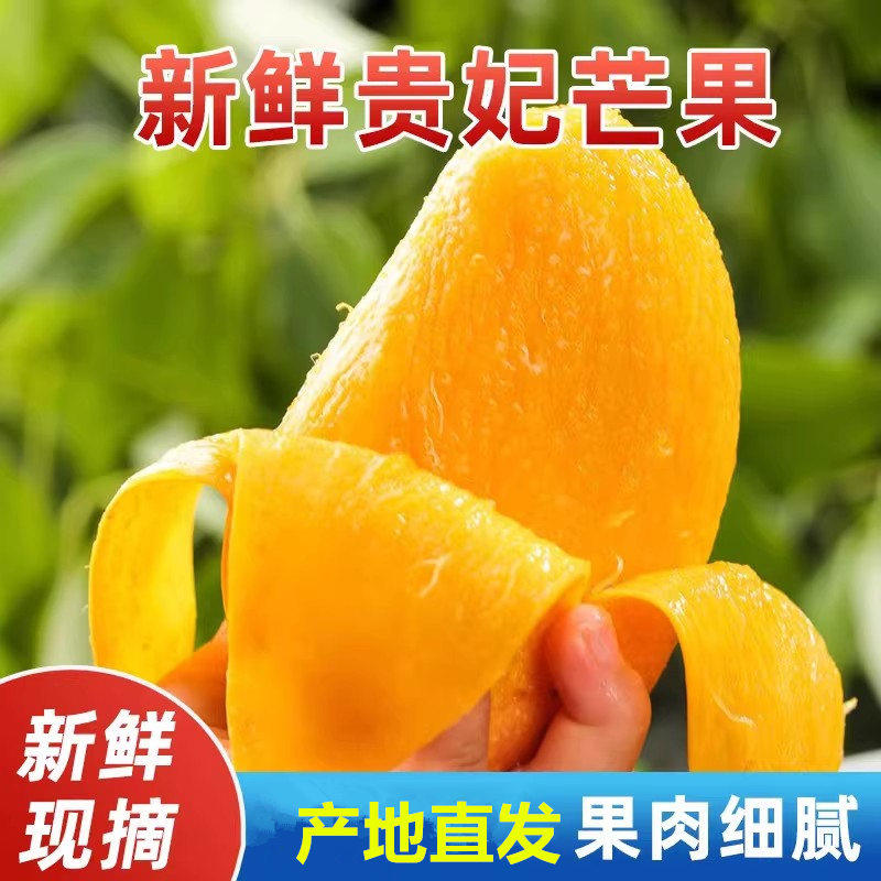 广西贵妃芒芒果新鲜当季热带水果大芒果自然熟红金龙黄金甜心现摘