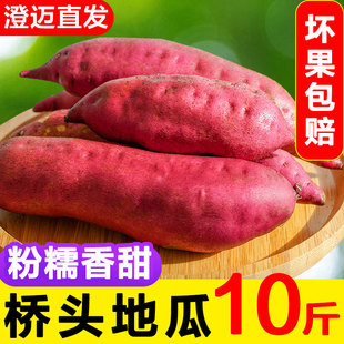 海南桥头地瓜富硒红薯澄迈番薯板栗薯新鲜桥沙地板栗红薯新鲜10斤