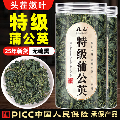 蒲公英中药材正品官方旗舰非野生