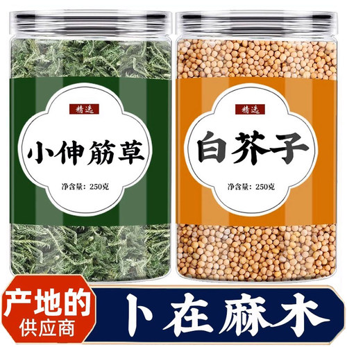 小伸筋草白芥子中药材不在麻木