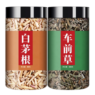 白茅根车前草白毛根干煮水干货非野生茅草根新鲜茶包的功效中药材