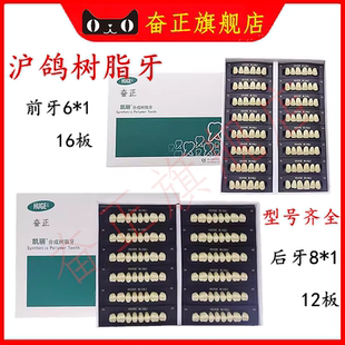 牙科沪鸽凯丽合成树脂牙 凯丽门牙6x1 后牙8x1沪鸽合成树脂牙包邮