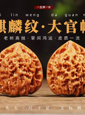 野生小核桃秋子高抛文玩核桃精挑四座楼大官帽盘玩麒麟纹核桃手捻