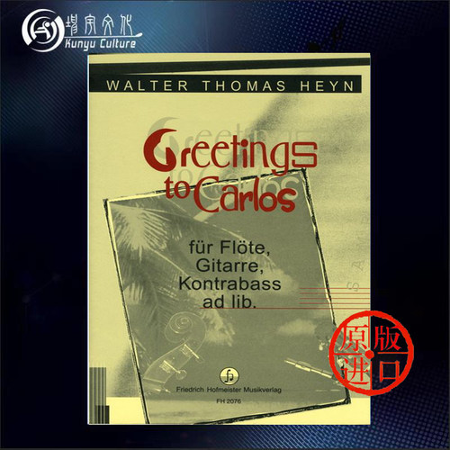 海恩长笛吉他低音提琴低音通奏