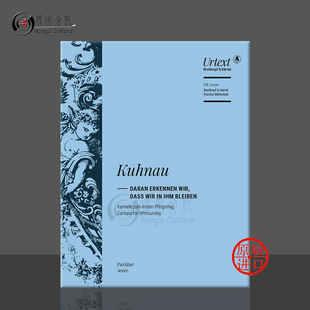 Scores PB3209 总谱 Brahms Tragische 乐谱书 D小调Op81 德国大熊原版 Orchestra 勃拉姆斯 Ouverture 悲剧序曲