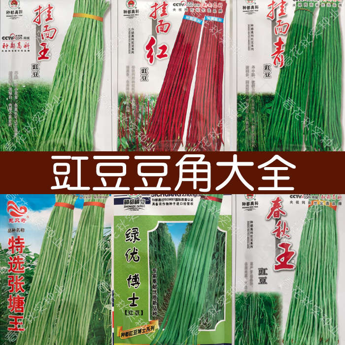 早熟豆角豇豆种子 春秋四季播蔬菜种籽 大田高产无架地豆紫红绿孑