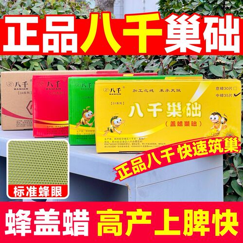 八千巢础正品八千中蜂巢础蜜蜂