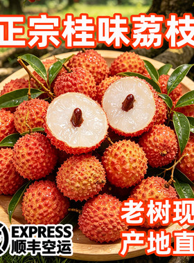正宗老树桂味荔枝现摘顺丰空运