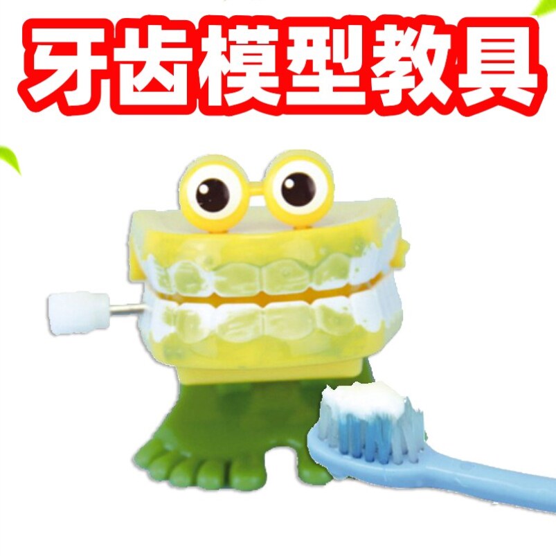 牙齿模型口腔教学清洁护理儿童刷牙爱护教具幼儿园牙刷练习展示手工自