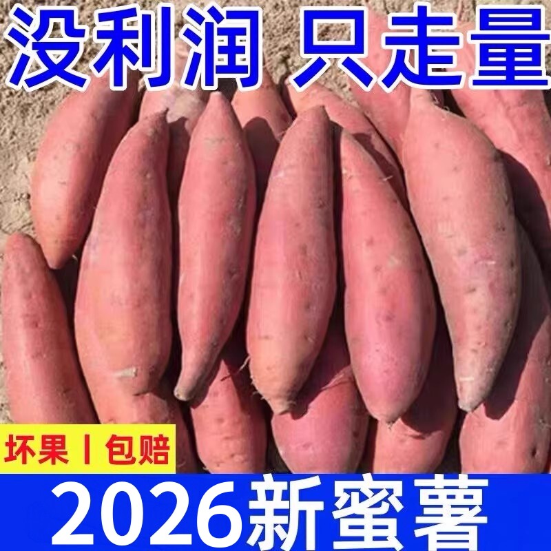 现挖沙地蜜薯正宗红薯新鲜1/5/9斤农家板栗烤地瓜香薯苕山芋番薯
