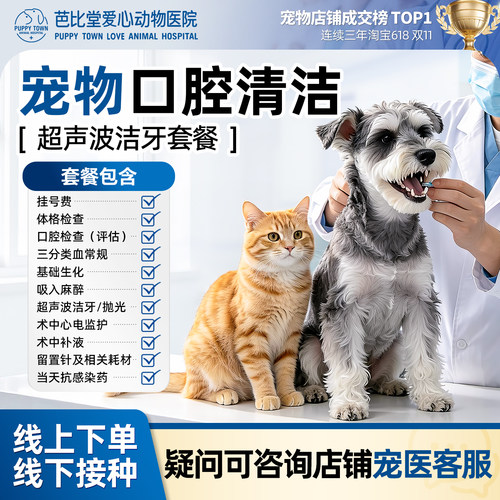 猫狗超声波洁牙套餐宠物清洁牙齿