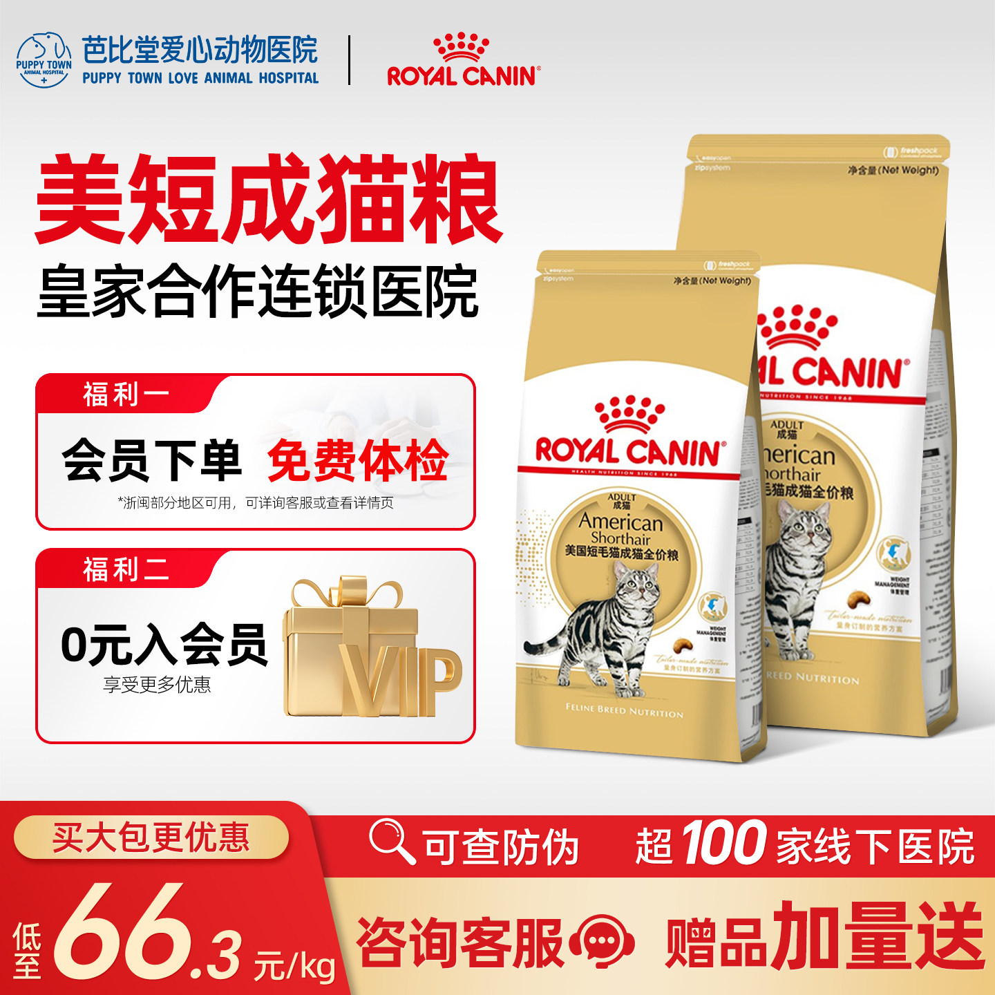 皇家猫粮美短成猫粮ASA31专用虎斑起司短毛猫咪营养全价主粮2KG