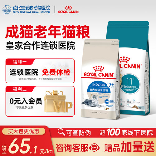 皇家s27以上成猫英短美短布偶