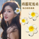 鸡蛋花发夹海边拍照花朵发饰边夹发卡侧边碎发刘海夹前额夹子头饰