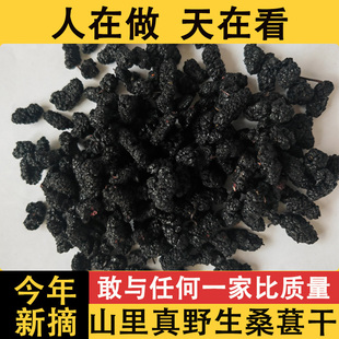 四川深山野生黑桑椹子中药材无硫桑葚干泡水茶新鲜食用泡酒