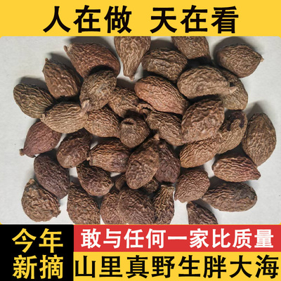 正品胖大海中药材干果药用旗舰店罗汉果咽炎茶菊花茶雪梨茶泡水喝