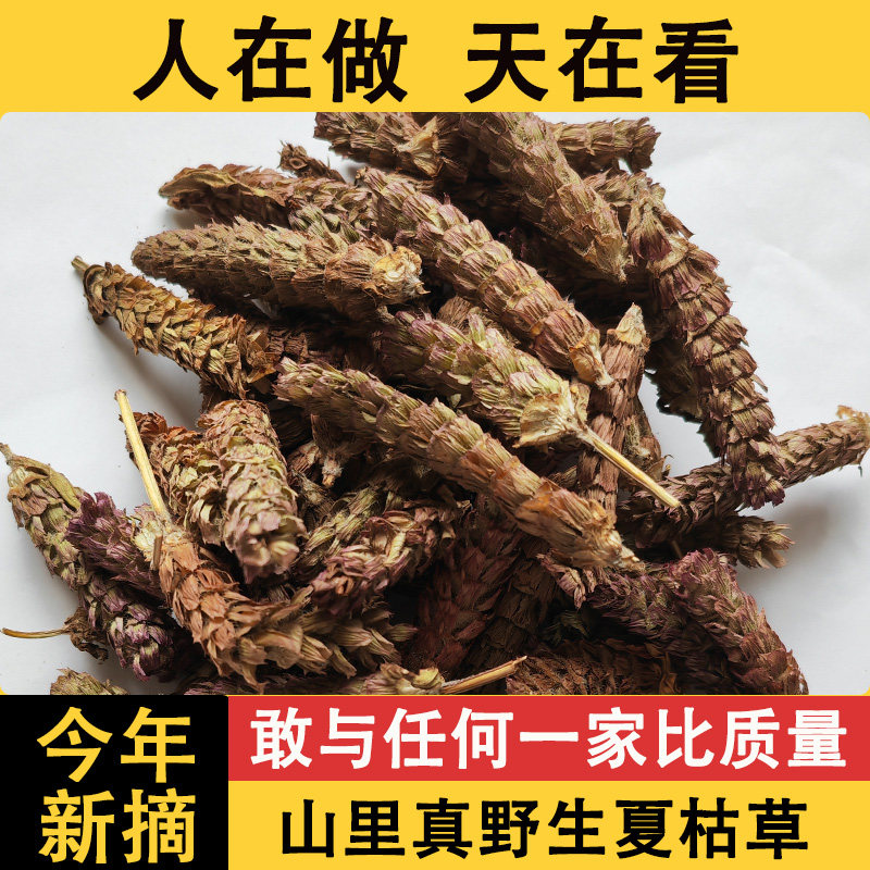 深山野生夏枯草中药材白毛夏菇草球正品夏枯球搭蒲公英散茶猫爪草