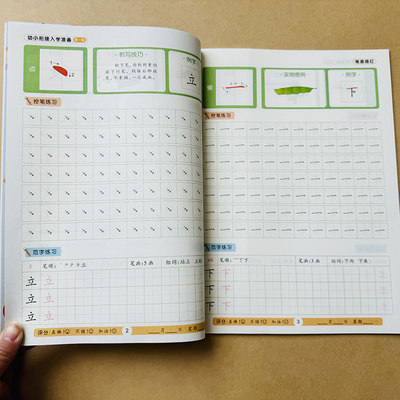 汉字笔画笔顺描红本幼小衔接天天练学前汉字笔画字帖3-5-6岁幼儿园铅笔写字本练字帖小学一年级田字格儿童入门启蒙教材生字练习册