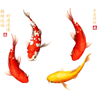 2026春节喜庆新年年有余好运锦鲤鱼厨房橱窗花玻璃装饰静电贴纸画