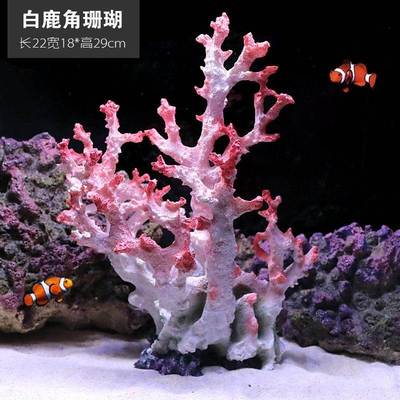 新天然珊瑚花礁石贝壳鱼缸造景家居装饰品水族馆橱窗样板间摆