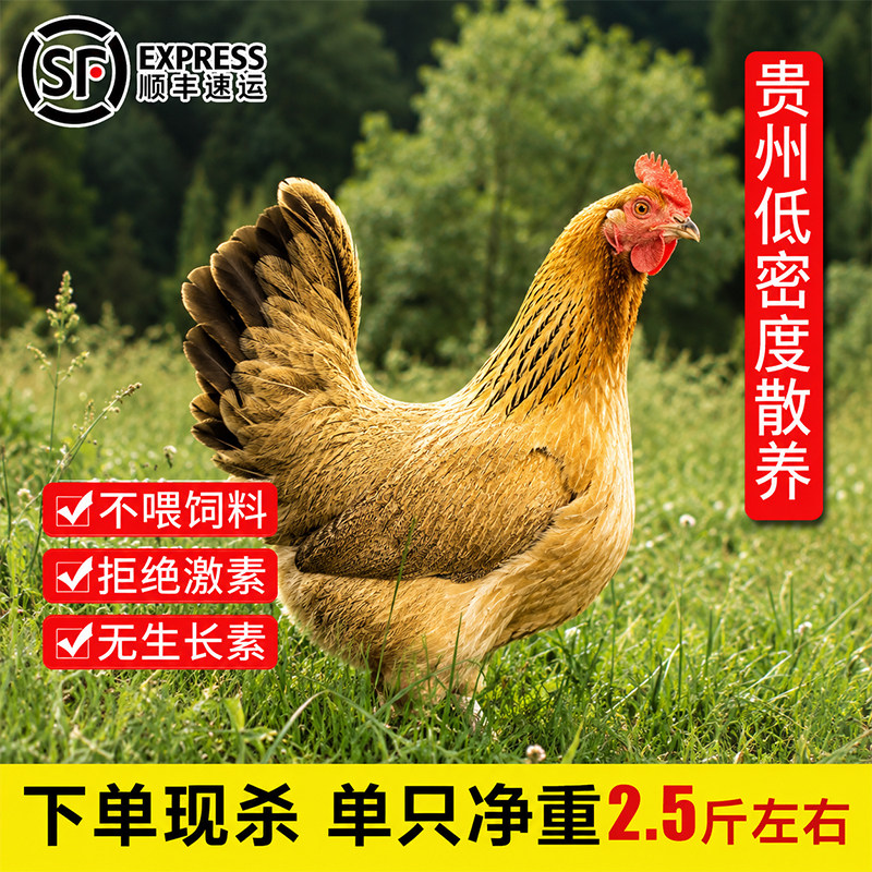 散养农家新鲜整只土鸡