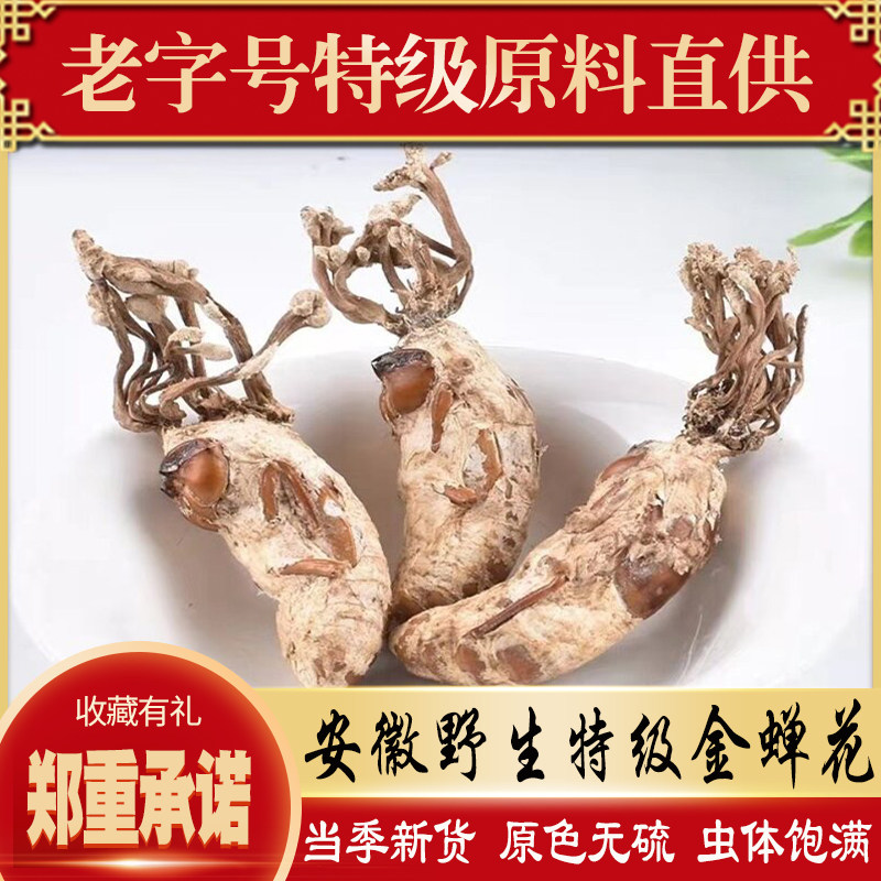 安徽野生金蝉花正品虫草花土蝉花大别山竹林知了新货花金蚕250g