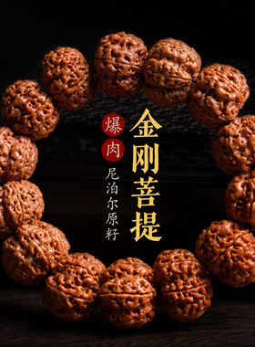 木香传尼泊尔大金刚菩提手串男士原籽爆肉龙纹盘玩核桃文玩佛珠