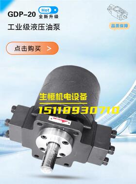 新款化工泵GDP-20 GH1-02 04 07 10 19 15C 15W 19W-LR FR GH现货