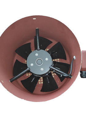 新款G系列变频电机专用散热通风机-100112A132A160A180A200A2现货