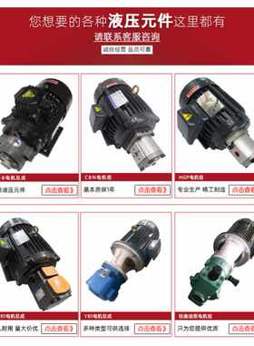 新款CB-B6/B10/B4/B2.5齿轮泵液压油泵电机组370W/550W润滑油泵头