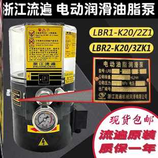 K20 3ZKI电动黄油泵LRB1 2ZII油脂泵 K30 浙江流遍油脂润滑泵LRB2