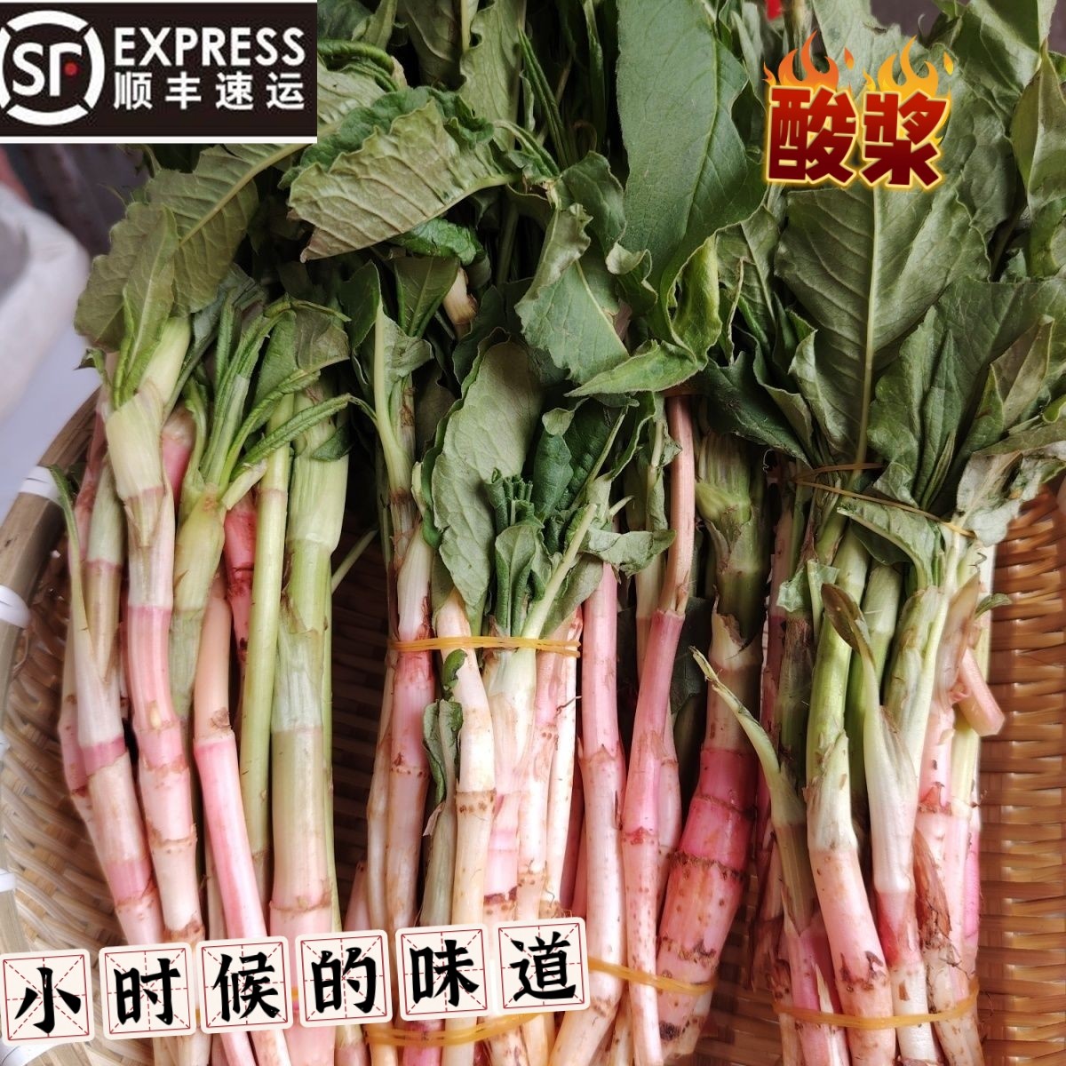 东北特产新鲜酸浆顺丰包邮