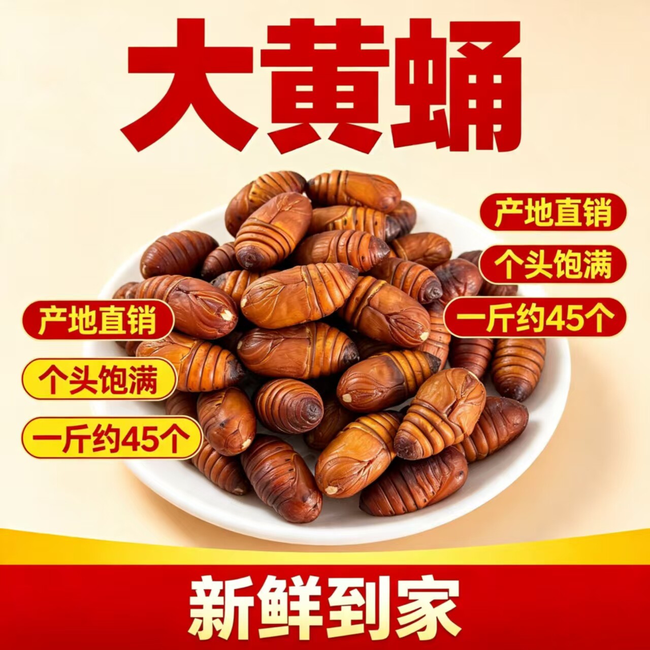 东北特产新鲜现割【黄蚕蛹】个头饱满现割现发顺丰包邮