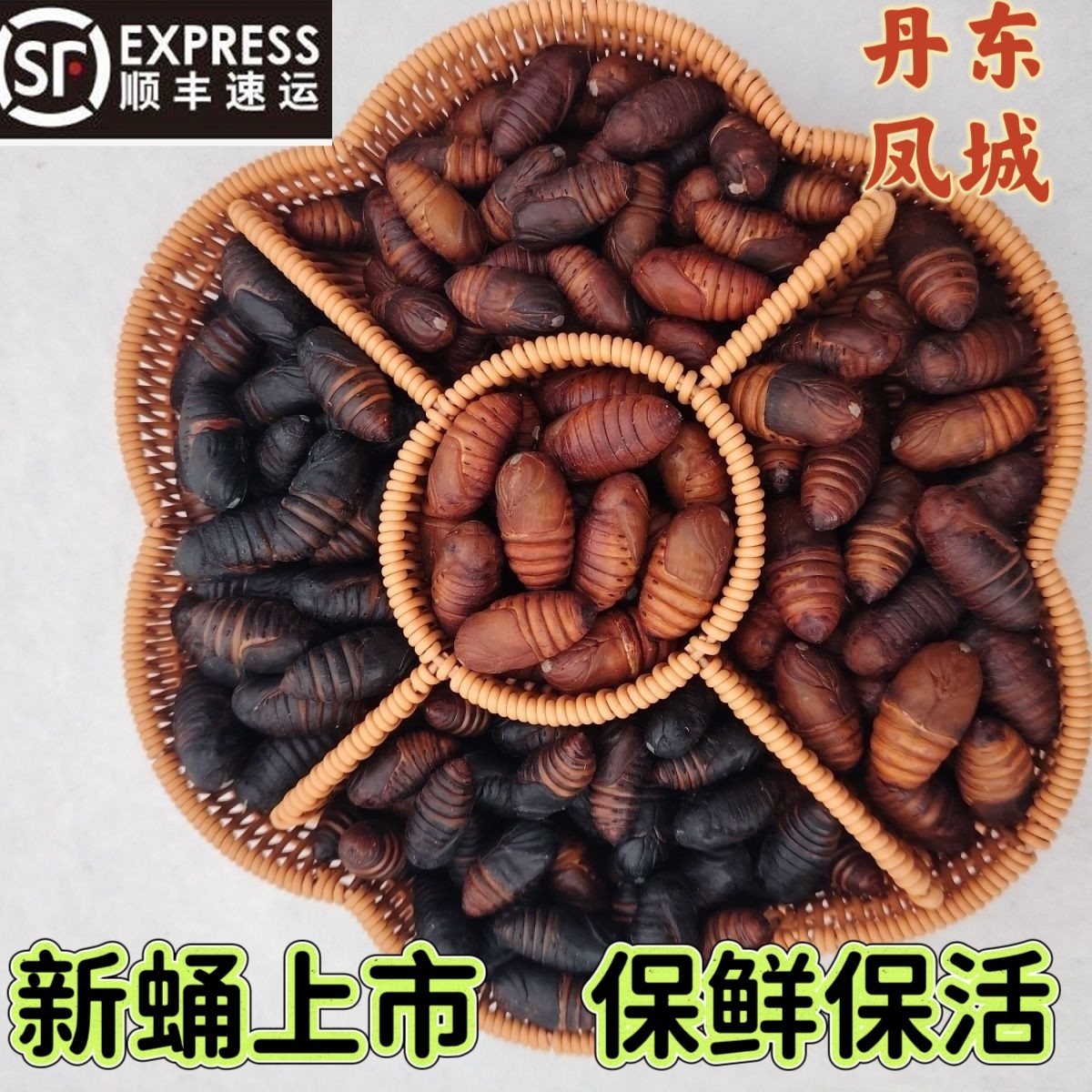 辽宁丹东特产蚕蛹黄蛹黑蛹顺丰