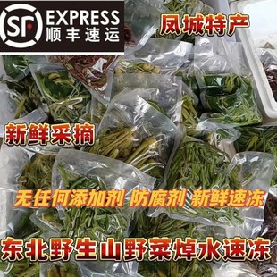 东北全套食用野菜大全刺嫩芽山野菜新鲜大耳毛龙须菜柳蒿芽山野菜