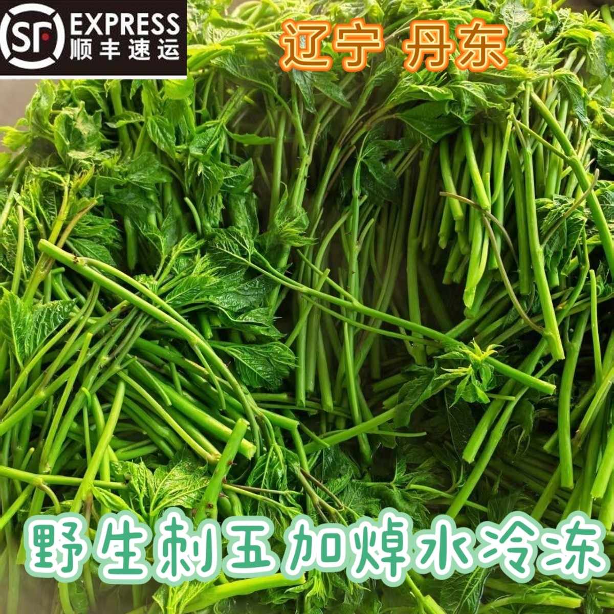 东北特产野生刺五加刺果棒刺花棒刺拐棒刺五加拌凉菜焯水冷冻顺丰