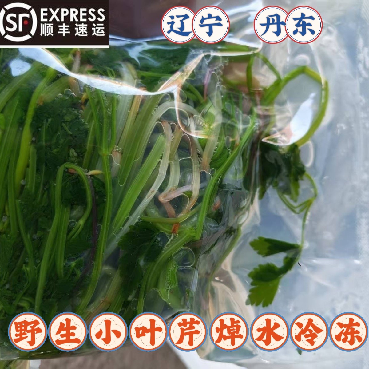东北特产山野菜小叶芹春季野生绿色小叶芹焯水冷冻顺丰包邮