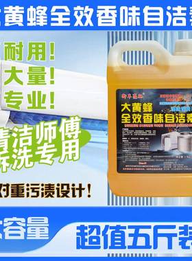 大黄蜂自洁素空调清洁剂十倍兑水
