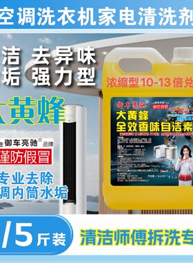 正品大黄蜂自洁素清洁家电空调洗衣机顽固污渍的药水一比十对水